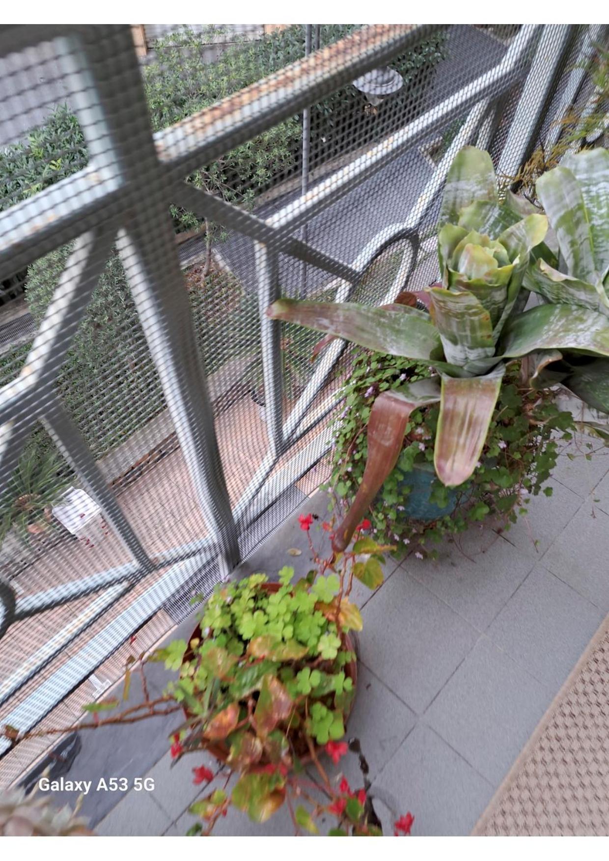 Centrale Vicino Spiagge E Ciclabile + Box-Auto ! Apartman Arma di Taggia Kültér fotó